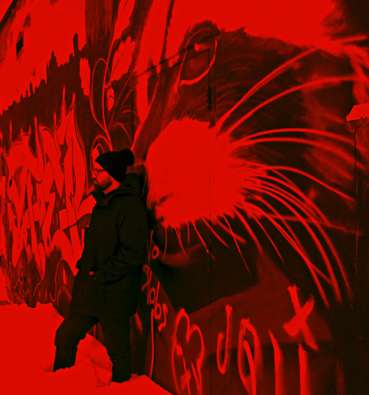 Tod Molloy is a Novelist.